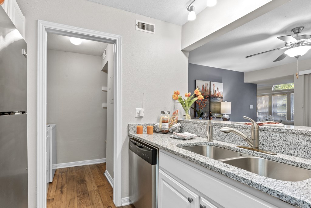 Double Sink With Integrated Sprayer at Regency Place, Raleigh