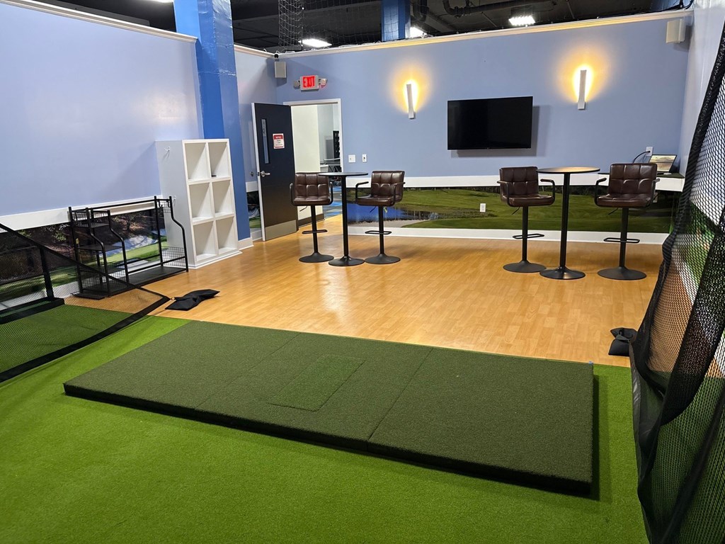 A room with a green mat and a black net.