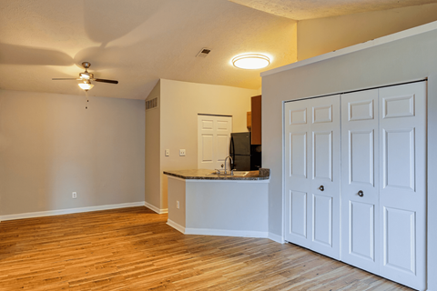 A kitchen area with a white counter and a white door.