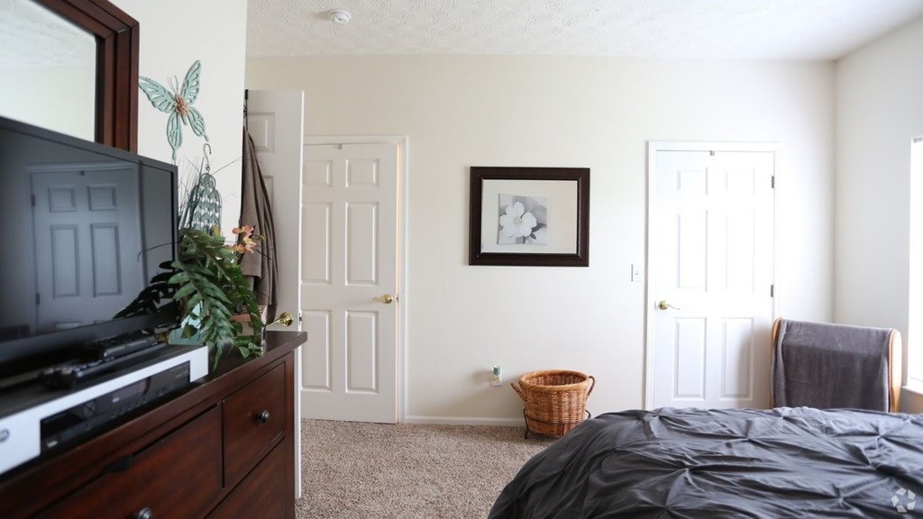 Bedroom With TV at The Cove, Ohio