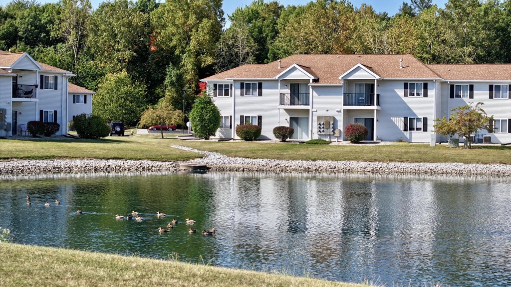 A group of people are swimming in a lake in front of apartment buildings.