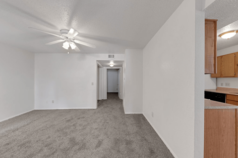 A spacious room with a ceiling fan and carpeted floor.