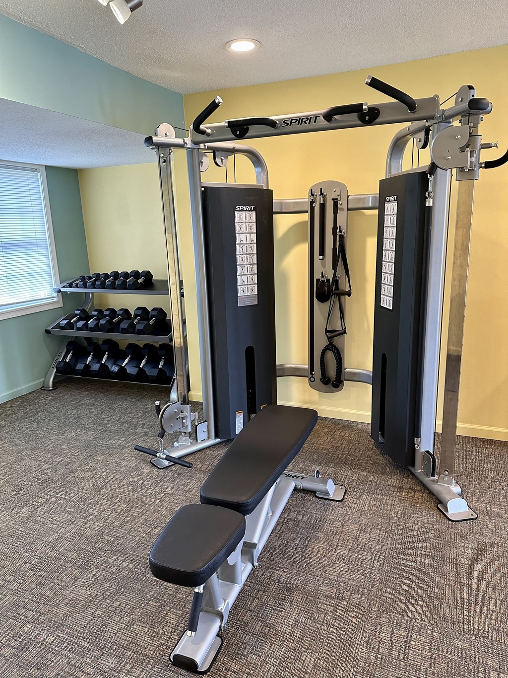 a home gym with weights and a bench