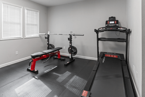 the gym at the apartments apartments tx