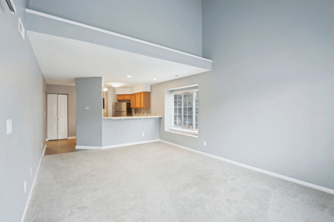 A spacious living room with a grey carpet and a kitchen area in the background.