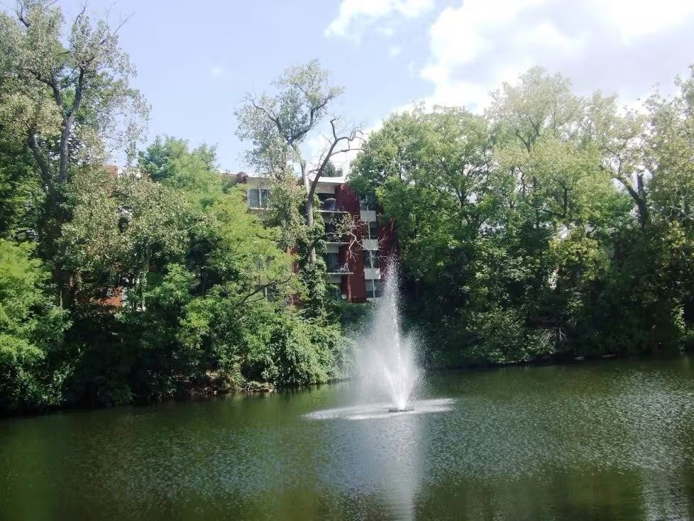A fountain in the middle of a lake surrounded by trees.