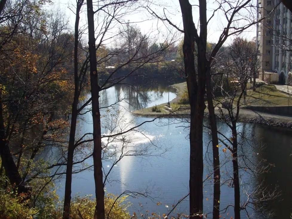 A river flows through a city park with trees on the left.
