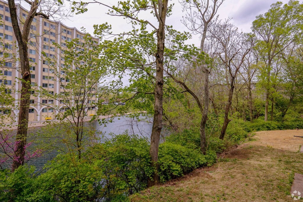 A river runs through a wooded area with apartment buildings in the background.