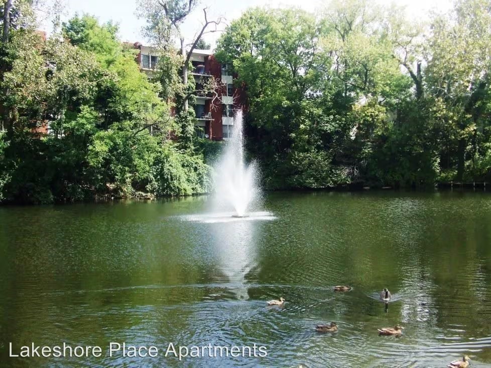 A fountain in the middle of a lake surrounded by trees and ducks.