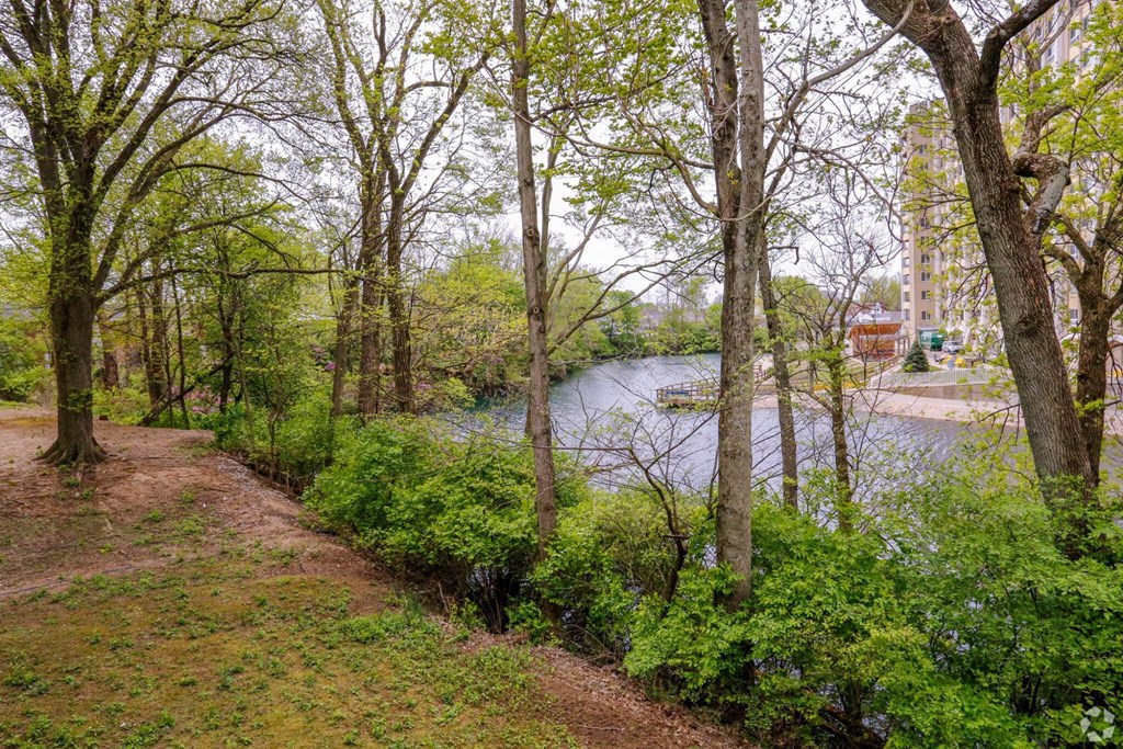 A path with green trees on the side of a river.