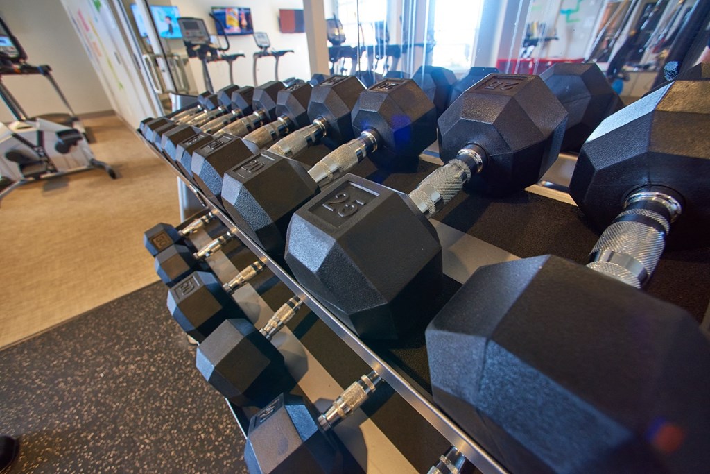 a row of dumbbells on a rack in a gym