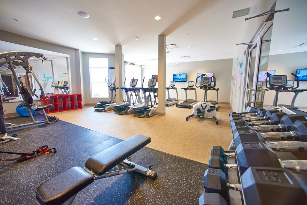 a gym with cardio equipment and weights on the floor