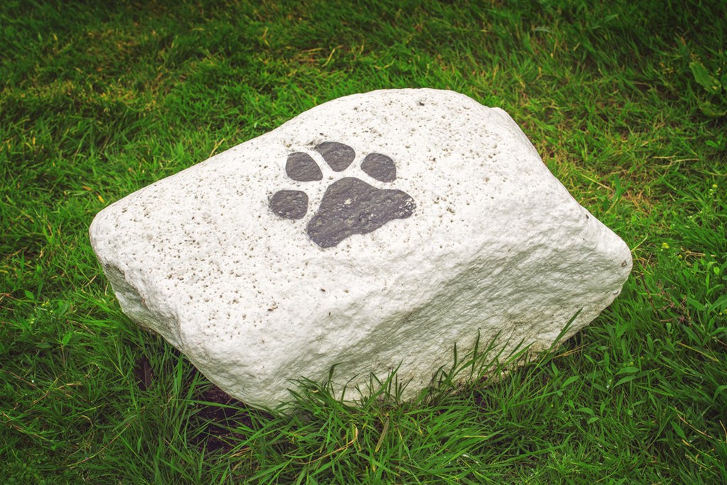 A stone with a painted paw print on it sits on grass.