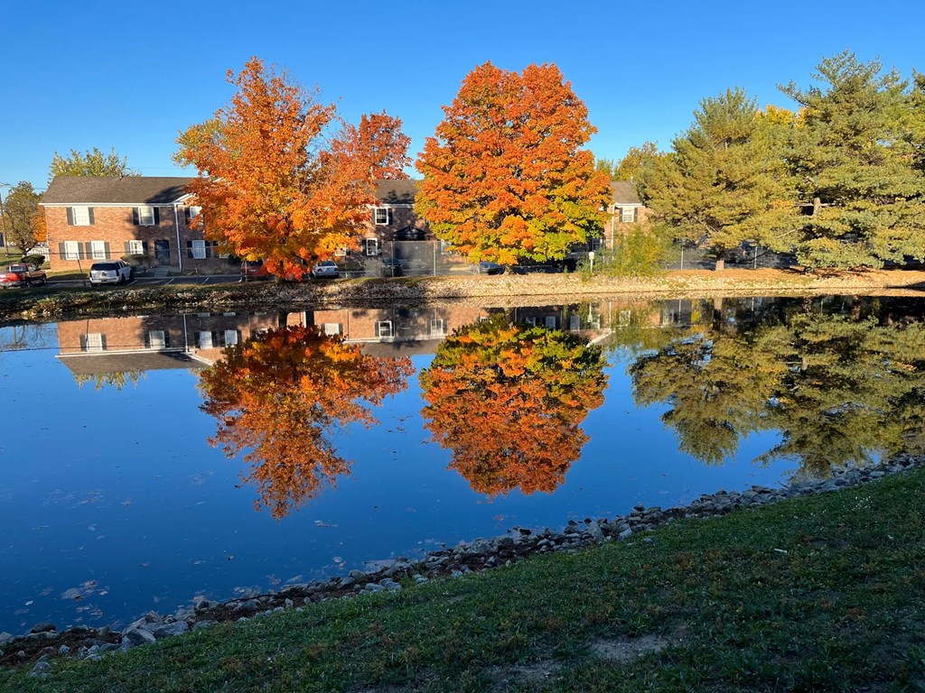 A serene lake surrounded by autumn trees and buildings.