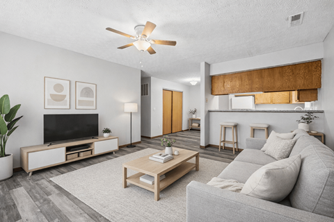 A living room with a grey couch, a wooden coffee table, a television, and a ceiling fan.