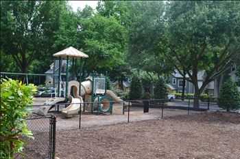 A playground with a blue slide and a red ladder.