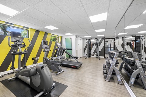 A gym with a variety of exercise equipment including treadmills, stationary bikes, and weight machines.