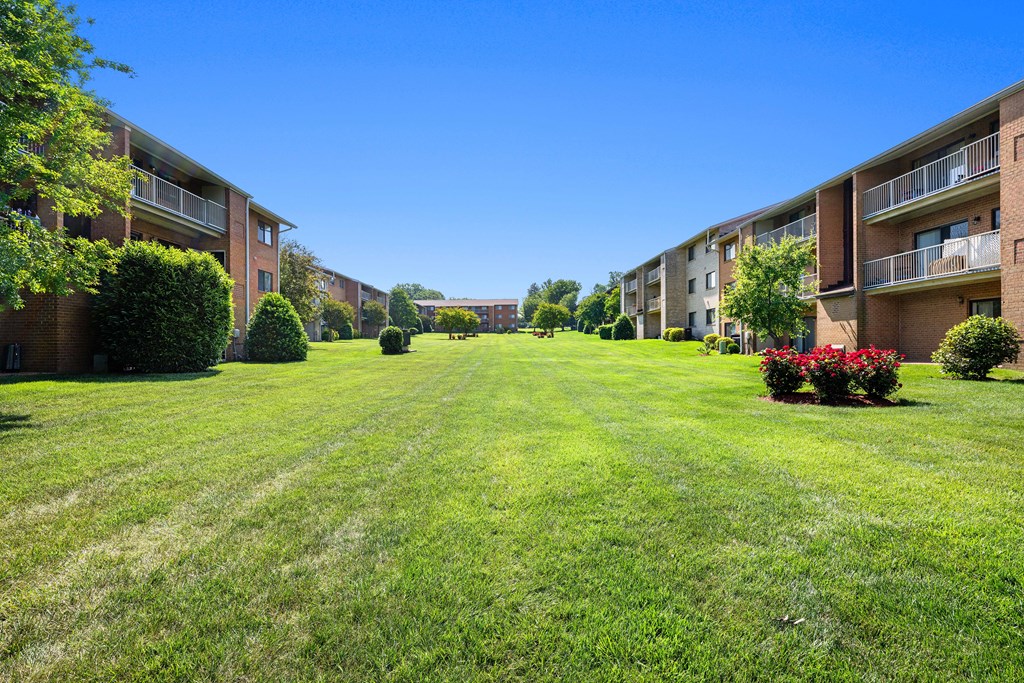 a large green lawn in the middle of an apartment complex at Gainsborough Court Apartments, Fairfax, Virginia