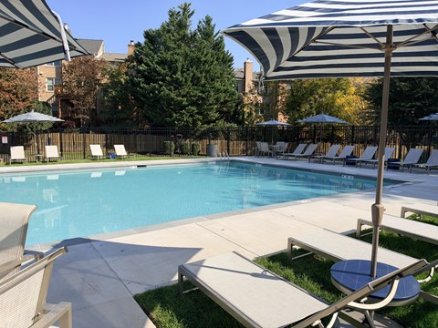 A pool surrounded by chairs and umbrellas.