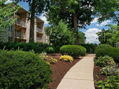 Walkway with lush green landscaping at Tysons Glen Apartments and Townhomes, Virginia - Photo Gallery 3