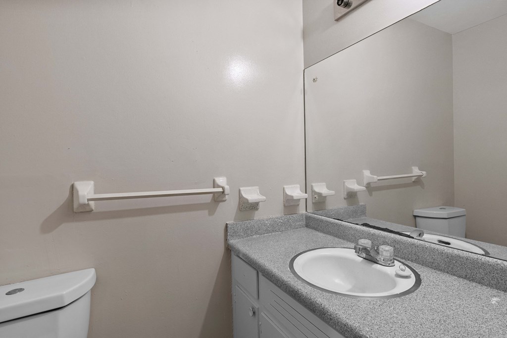 a bathroom with a sink and toilet and a mirror