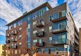 1-bedroom apartment at The Clarkson Apartments in Denver