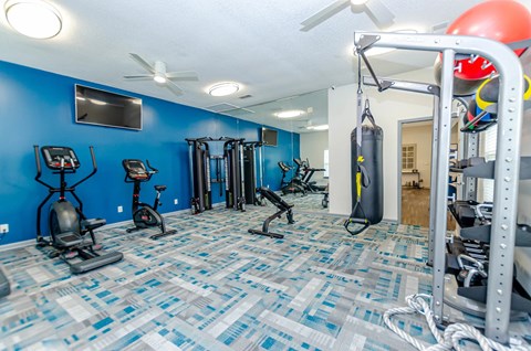 A gym with blue walls and a variety of exercise equipment.
