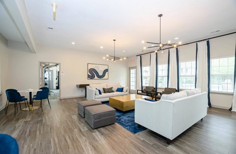 A living room with a white couch and a blue rug.
