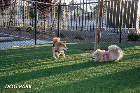 Lindell Living (55+ Active Adult)