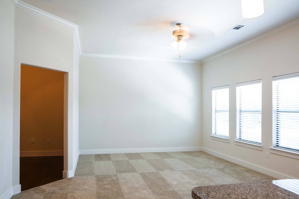 Spacious Living Room