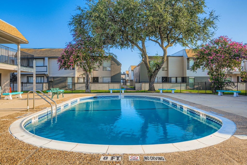 A swimming pool with a no diving sign.