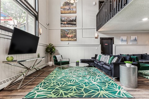 A living room with a green rug and a black screen.