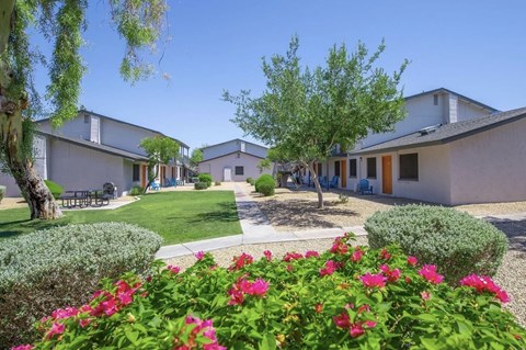 A sunny day at a residential area with houses and blooming flowers.