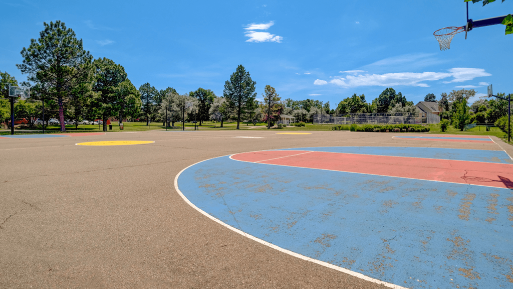 a basketball court in a park with trees