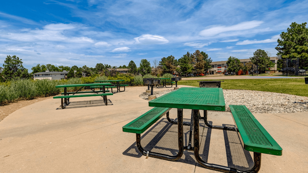picnic tables at the preserve at green road park