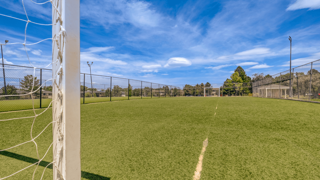 a soccer field with a fence and a soccer goal
