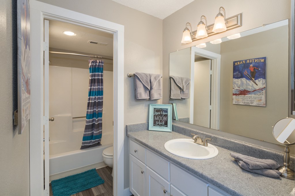 a bathroom with a sink and a mirror and a shower