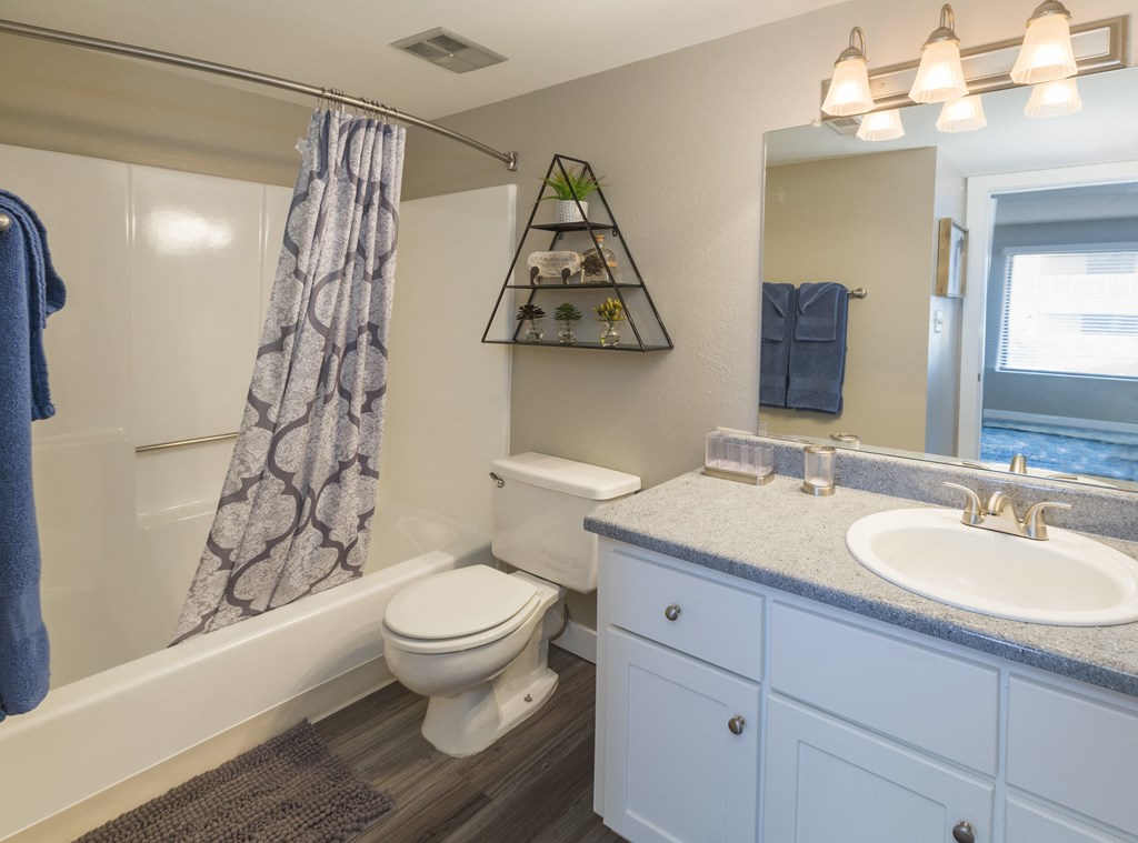 a bathroom with a sink and a toilet and a bath tub