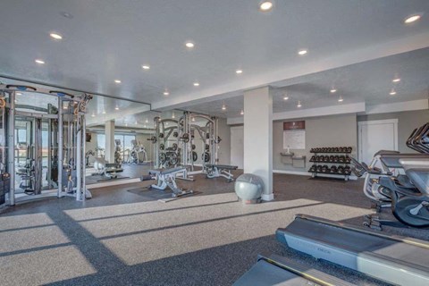 A spacious gym with a variety of equipment including treadmills, weights, and exercise machines.