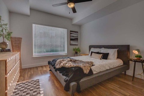 A bedroom with a bed, a ceiling fan, and a window with blinds.