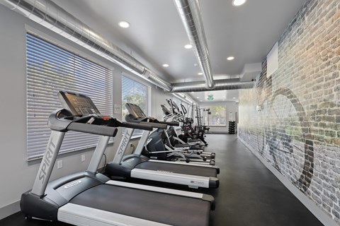 A row of treadmills are lined up in a gym.