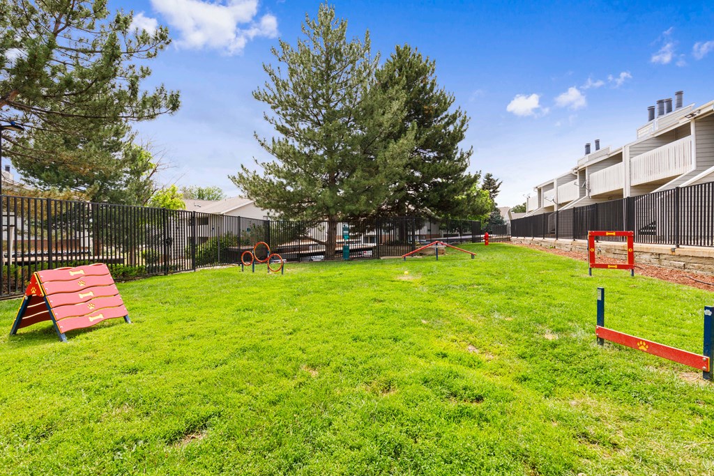 the preserve at ballantyne commons dog park