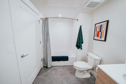 a bathroom with a toilet and a shower with a curtain
