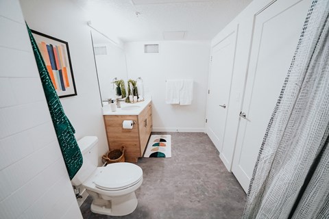 a bathroom with a white toilet and a sink and a shower