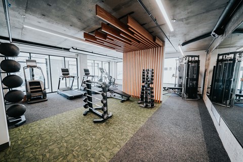 the gym is equipped with a variety of weights and cardio equipment