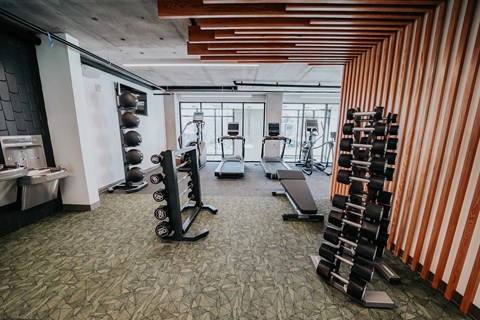 a gym with a lot of weights and dumbbells in it