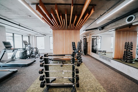 the gym has a variety of weights machines and mirrors