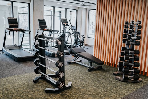 a gym with cardio equipment and mirrors on the floor