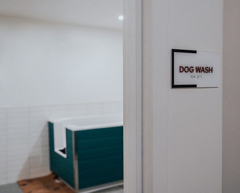 a dog wash sign on a wall in a room