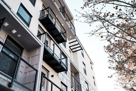 a view of an apartment building with a tree in the foreground